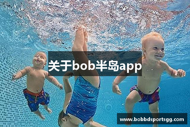 关于bob半岛app